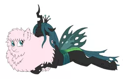 Size: 1250x800 | Tagged: safe, artist:spyro-for-life, derpibooru import, queen chrysalis, oc, oc:fluffle puff, changeling, changeling queen, earth pony, original species, pony, butt pillow, canon x oc, chrysipuff, female, image, lesbian, lying down, png, prone, shipping, simple background, sleeping, white background