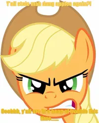 Size: 474x589 | Tagged: safe, derpibooru import, applejack, earth pony, pony, angry, bust, caption, close-up, frown, image, jpeg, looking at you, meme, text