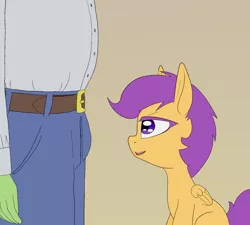 Size: 1800x1621 | Tagged: suggestive, artist:happy harvey, derpibooru import, edit, scootaloo, oc, oc:anon, human, pegasus, pony, belt, clothes, crotch bulge, drawn on phone, eyes on the prize, female, filly, image, implied foalcon, lidded eyes, male, pants, png, shirt, underage