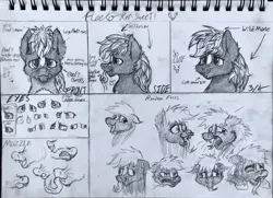 Size: 1946x1408 | Tagged: safe, artist:reekosukanku, derpibooru import, oc, oc:reeko, earth pony, pony, skunk, skunk pony, 3/4 view, black and white, bust, cute, daaaaaaaaaaaw, emotions, expressions, fangs, front view, grayscale, image, innocent, jpeg, messy mane, monochrome, part 2, portrait, puppy dog eyes, reference sheet, rough sketch, side view, snout, traditional art, white mane