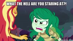 Size: 600x337 | Tagged: safe, derpibooru import, edit, edited screencap, screencap, sunset shimmer, wallflower blush, equestria girls, equestria girls series, forgotten friendship, angry, caption, duckman, image, image macro, jpeg, memeful.com, text