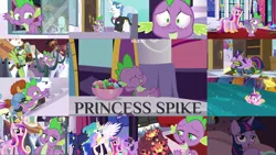 Size: 1962x1105 | Tagged: safe, derpibooru import, edit, edited screencap, editor:quoterific, screencap, douglas spruce, dr. steve brule, evergreen, fancypants, fleur de verre, free throw, princess cadance, princess celestia, princess luna, spike, twilight sparkle, alicorn, princess spike (episode), book, book nest, chainsaw, dragonsneeze, image, png, twilight sparkle (alicorn)