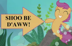 Size: 900x576 | Tagged: safe, derpibooru import, edit, edited screencap, screencap, scootaloo, seapony (g4), surf and/or turf, bubble, caption arrow, cropped, cute, cutealoo, female, happy, image, png, pun, seaponified, seapony scootaloo, seaweed, shoo be doo, species swap, text, underwater, your heart is in two places