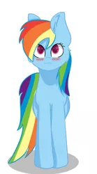 Size: 945x1705 | Tagged: safe, artist:toptian, derpibooru import, rainbow dash, pegasus, pony, blushing, female, image, mare, png, simple background, solo, white background