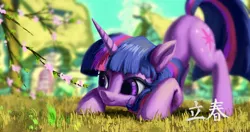 Size: 4096x2160 | Tagged: safe, artist:tinybenz, derpibooru import, part of a set, twilight sparkle, pony, unicorn, behaving like a cat, behaving like a dog, cherry blossoms, chinese text, crouching, face down ass up, female, flower, flower blossom, high res, image, jpeg, looking at something, mare, moon runes, ponyville, solar term, solo, spring, unicorn twilight