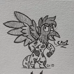 Size: 2229x2229 | Tagged: safe, artist:drheartdoodles, derpibooru import, oc, oc:helios, unofficial characters only, gryphon, angry, caw, flexing, image, jpeg, solo, spread wings, standing, traditional art, wings