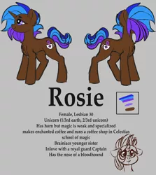 Size: 1920x2154 | Tagged: safe, artist:brainiac, derpibooru import, oc, oc:rose sniffer, oc:rosie, pony, unicorn, derpibooru exclusive, female, image, mare, png, reference sheet, solo