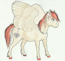 Size: 6320x5950 | Tagged: safe, artist:lady-limule, derpibooru import, oc, unofficial characters only, pegasus, pony, colored hooves, female, image, jpeg, mare, pegasus oc, simple background, solo, traditional art, white background, wings