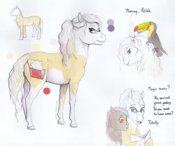 Size: 2000x1674 | Tagged: safe, alternate version, artist:lady-limule, derpibooru import, oc, oc:almond, unofficial characters only, bird, earth pony, pony, toucan, earth pony oc, female, glasses, image, jpeg, mare, reference sheet, traditional art