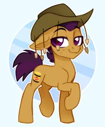 Size: 1605x1947 | Tagged: safe, artist:sickly-sour, derpibooru import, oc, oc:vegemite, unofficial characters only, earth pony, pony, australia, bruce, colored, colored pupils, cork hat, cutie mark, earth pony oc, freckles, hat, image, male, png, simple background, smug, stallion, two toned mane, vegemite