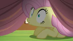 Size: 1920x1080 | Tagged: safe, derpibooru import, screencap, fluttershy, pegasus, pony, scare master, female, image, mare, on floor, png, solo, under the bed, wide eyes