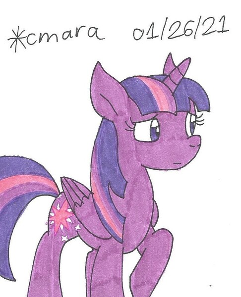 Size: 750x926 | Tagged: safe, artist:cmara, derpibooru import, twilight sparkle, twilight sparkle (alicorn), alicorn, pony, female, image, jpeg, mare, raised hoof, simple background, solo, traditional art, white background