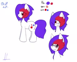 Size: 2666x2166 | Tagged: safe, artist:almaustral, derpibooru import, oc, oc:bright light, unofficial characters only, earth pony, pony, bust, earth pony oc, eye clipping through hair, glasses, image, male, png, reference sheet, signature, smiling, stallion