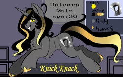 Size: 1920x1200 | Tagged: safe, artist:brainiac, derpibooru import, oc, oc:knick knack, pony, unicorn, derpibooru exclusive, image, male, png, reference sheet, solo, stallion