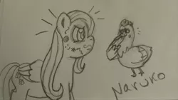 Size: 4000x2244 | Tagged: safe, artist:wrath-marionphauna, derpibooru import, fluttershy, bird, chicken, derpibooru exclusive, face doodle, image, jpeg, laughing, pencil drawing, requested art, stare, the stare, traditional art, wing hands, wings