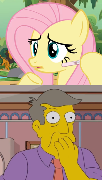 Size: 557x979 | Tagged: safe, derpibooru import, edit, edited screencap, editor:haileykitty69, screencap, fluttershy, human, pegasus, i'm so sorry, crossover, crossover shipping, fluttermour, image, joke, png, pregnancy test, pregnancy test meme, seymour skinner, shipping, the simpsons
