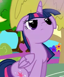 Size: 385x466 | Tagged: safe, artist:pyruvate, derpibooru import, twilight sparkle, twilight sparkle (alicorn), alicorn, pony, comic:dragon queen, folded wings, image, looking up, png, reaction image, solo, wings