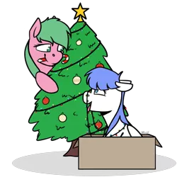 Size: 2200x2200 | Tagged: safe, artist:jellysiek, derpibooru import, oc, oc:pine berry, oc:snow pup, unofficial characters only, earth pony, pegasus, pony, behaving like a dog, box, candy, candy cane, christmas, christmas lights, christmas tree, commission, female, floppy ears, food, happy, holiday, image, looking at each other, looking down, looking up, mare, mouth hold, ornament, panting, png, simple background, sitting, smiling, stars, tongue out, transparent background, tree