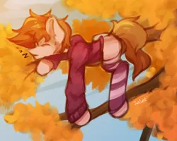 Size: 2520x2020 | Tagged: safe, artist:jackselit, derpibooru import, oc, oc:stuben, unofficial characters only, earth pony, pony, autumn, clothes, hoodie, image, onomatopoeia, png, sleeping, socks, solo, sound effects, striped socks, tree, tree branch, zzz