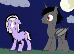 Size: 736x542 | Tagged: safe, artist:aryasakurada, derpibooru import, oc, unofficial characters only, alicorn, bat pony, bat pony alicorn, earth pony, pony, bat wings, duo, earth pony oc, female, frown, full moon, horn, image, jpeg, male, mare, moon, night, stallion, wings, worried