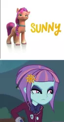 Size: 795x1519 | Tagged: safe, derpibooru import, sunny flare, sunny starscout, earth pony, pony, equestria girls, g5, image, jpeg, namesake, pun, unamused, visual pun