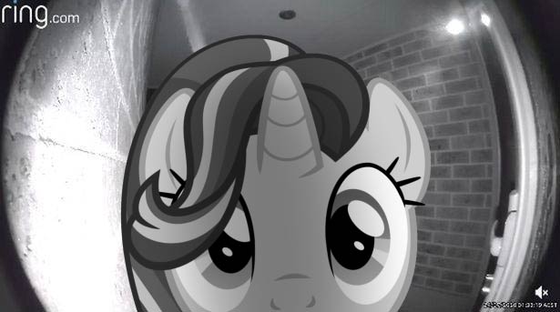 Size: 615x343 | Tagged: safe, artist:bastbrushie, derpibooru import, starlight glimmer, pony, unicorn, cute, female, glimmerbetes, grayscale, image, irl, jpeg, looking at you, mare, meme, monochrome, peeking, photo, ponies in real life, ponified animal photo, ponified meme, recording, solo