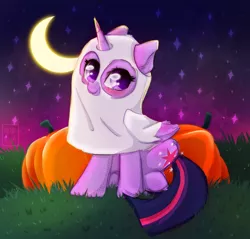 Size: 1006x960 | Tagged: source needed, useless source url, safe, alternate version, artist:kebchach, derpibooru import, twilight sparkle, twilight sparkle (alicorn), alicorn, ghost, pony, undead, art, clothes, costume, cute, drawing, fanart, grass, halloween, halloween costume, holiday, image, magic, moon, night, nightmare night, png, pumpkin, smiling, solo