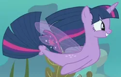 Size: 1202x761 | Tagged: safe, derpibooru import, screencap, twilight sparkle, alicorn, seapony (g4), season 8, surf and/or turf, spoiler:s08, bubble, cropped, female, fin wings, fish tail, image, png, seaponified, seapony twilight, smiling, solo, species swap, twilight sparkle (alicorn), underwater, water, wings