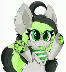 Size: 2736x3000 | Tagged: safe, artist:pegamutt, derpibooru import, oc, oc:bree, oc:bree jetpaw, pegasus, big ears, clothes, colored tongue, cowlick, curly tail, fangs, fluffy, freckles, image, jpeg, paws, pegamutt, scarf, solo, spots, tongue out
