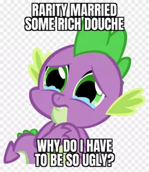 Size: 840x970 | Tagged: safe, derpibooru import, rarity, spike, dragon, abuse, alpha channel, background pony strikes again, crying, female, funny, go to sleep garble, i can't believe it's not useraccount, image, implied rarity, jpeg, male, meme, op is a duck, op is trying to start shit, sad, shipping, shipping denied, shitposting, simple background, solo, sparity, spikeabuse, spikeposting, straight, vector