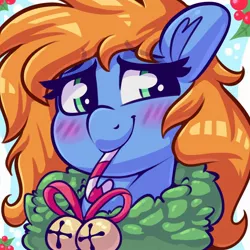 Size: 2000x2000 | Tagged: safe, artist:graphene, derpibooru import, oc, oc:quick trip, unofficial characters only, pony, blushing, candy, candy cane, female, food, holiday, image, jingle bells, jpeg, mare, mouth hold, profile picture, solo