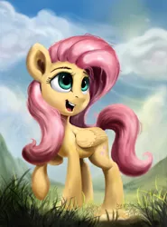 Size: 1440x1949 | Tagged: safe, artist:rbtm233, derpibooru import, fluttershy, pegasus, pony, cloud, cloudy, cute, female, folded wings, grass, head turned, image, looking away, looking up, mare, open mouth, outdoors, png, raised hoof, shyabetes, smiling, solo, standing, wings