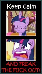 Size: 1511x2626 | Tagged: safe, derpibooru import, edit, edited screencap, screencap, twilight sparkle, alicorn, party pooped, freakout, image, keep calm and carry on, meme, png, solo, twilight sparkle (alicorn), vulgar