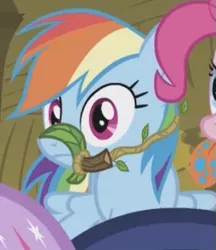 Size: 295x342 | Tagged: safe, derpibooru import, screencap, pinkie pie, rainbow dash, twilight sparkle, pony, bridle gossip, bit, bridle, cropped, image, jpeg, offscreen character, solo focus, spitty pie, tack