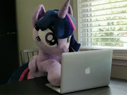 Size: 4608x3456 | Tagged: safe, artist:epicrainbowcrafts, derpibooru import, photographer:sometwifag, twilight sparkle, alicorn, computer, image, irl, jpeg, laptop computer, photo, plushie, solo, twilight sparkle (alicorn)