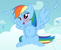 Size: 2377x1944 | Tagged: safe, artist:badumsquish, derpibooru import, rainbow dash, pegasus, pony, arm behind back, bedroom eyes, behaving like a bird, blushing, chest fluff, cloud, courtship, cute, dashabetes, derpibooru exclusive, feather, female, flirting, fluffy, image, impossibly large chest fluff, mare, mating dance, on a cloud, open mouth, peacocking, png, show accurate, sitting, sitting on cloud, smiling, solo, spread wings, wingboner, wings