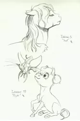 Size: 4104x6197 | Tagged: safe, artist:lady-limule, derpibooru import, oc, unofficial characters only, earth pony, pony, bust, earth pony oc, eyes closed, female, filly, grayscale, image, inktober 2016, jpeg, lineart, monochrome, traditional art