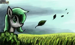 Size: 854x512 | Tagged: safe, artist:dreamyskies, derpibooru import, oc, oc:dreamer skies, pegasus, pony, autumn, big eyes, bush, cloud, cloudy, female, field, grass, grass field, happy, hidden face, image, leaves, looking at you, mare, pegasus oc, png, pony oc, rule 63, signature, smiling, wind, wings