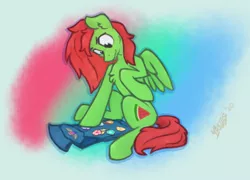 Size: 2048x1472 | Tagged: safe, artist:irdes, derpibooru import, oc, oc:watermelon frenzy, unofficial characters only, pegasus, denim jacket, image, male, patch, patches, png, stitching, wings