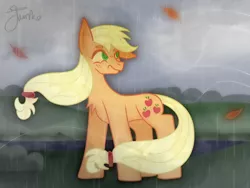 Size: 800x600 | Tagged: safe, artist:junko, derpibooru import, applejack, earth pony, pony, chest fluff, female, hatless, image, leaf, leaves, mare, missing accessory, png, rain, signature, solo, storm, wet, wind, wind blowing, windswept mane