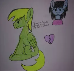 Size: 3138x3001 | Tagged: safe, artist:neonraveparty, derpibooru import, oc, oc:haruka takahashi, oc:michael typhoon, break up, colors, emotion, heartbreak, highlighter yellow, image, jpeg, love, simple background, text, white background