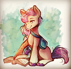 Size: 1241x1204 | Tagged: safe, artist:verymelancollie, derpibooru import, sunny starscout, earth pony, pony, abstract background, bag, book, braid, female, g5, image, jpeg, looking down, mare, reading, sitting, smiling, solo, unshorn fetlocks