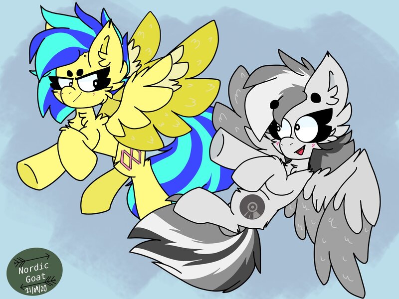 Size: 2048x1536 | Tagged: safe, artist:nordicgoat, derpibooru import, oc, oc:chrome finish, oc:koa, unofficial characters only, pegasus, pony, blushing, chest fluff, commission, duo, ear fluff, flying, image, jpeg, looking at each other, open mouth, smiling, spread wings, wings