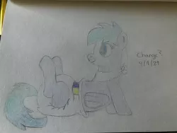 Size: 4032x3024 | Tagged: suggestive, artist:righteouspotato14, derpibooru import, oc, oc:stormy waters, unofficial characters only, pegasus, pony, bandana, diaper, diaper fetish, fetish, image, jpeg, poofy diaper, traditional art
