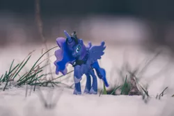 Size: 6000x4000 | Tagged: safe, artist:plastikdarling, derpibooru import, photographer:plastikdarling, princess luna, alicorn, image, jpeg, snow, solo, toy, winter