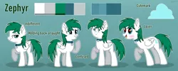 Size: 2800x1120 | Tagged: safe, artist:keyrijgg, derpibooru import, oc, oc:zephyr, oc:zephyr cloudrunner, unofficial characters only, pegasus, pony, fanfic:zephyr, auction, bell, bell collar, choker, collar, color palette, commission, green background, heart eyes, image, png, reference sheet, simple background, wingding eyes, your character here
