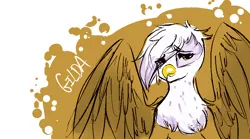 Size: 900x500 | Tagged: safe, artist:burgerlicious, derpibooru import, gilda, gryphon, female, image, looking at you, png, solo