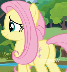 Size: 1390x1501 | Tagged: safe, derpibooru import, screencap, fluttershy, pegasus, pony, memnagerie, spoiler:memnagerie, spoiler:mlp friendship is forever, butt, cropped, cute, female, flutterbutt, image, mare, plot, png, shyabetes, smiling, solo