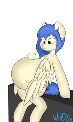Size: 1500x2500 | Tagged: suggestive, artist:thewindrunner, derpibooru import, oc, oc:windrunner, unofficial characters only, pegasus, pony, belly, belly button, big belly, female, fetish, food baby, image, large belly, mare, png, quadrupedal, simple background, sitting, solo, stuffed, transparent background, wings