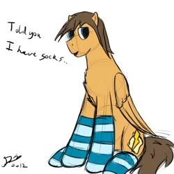 Size: 500x500 | Tagged: safe, artist:ask-firenze, derpibooru import, oc, oc:firenze, unofficial characters only, pegasus, pony, clothes, image, male, png, simple background, socks, solo, stallion, striped socks, white background